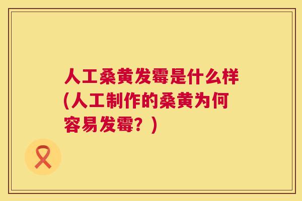 人工桑黄发霉是什么样(人工制作的桑黄为何容易发霉?) 人工桑黄发霉是什么样(人工制作的桑黄为何容易发霉?)