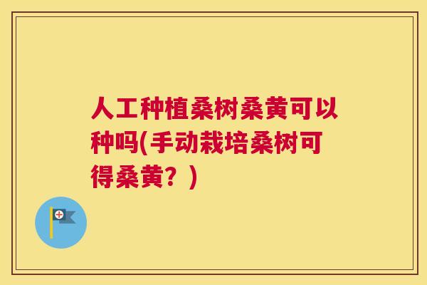 人工种植桑树桑黄可以种吗(手动栽培桑树可得桑黄?) 人工种植桑树桑黄可以种吗(手动栽培桑树可得桑黄?)