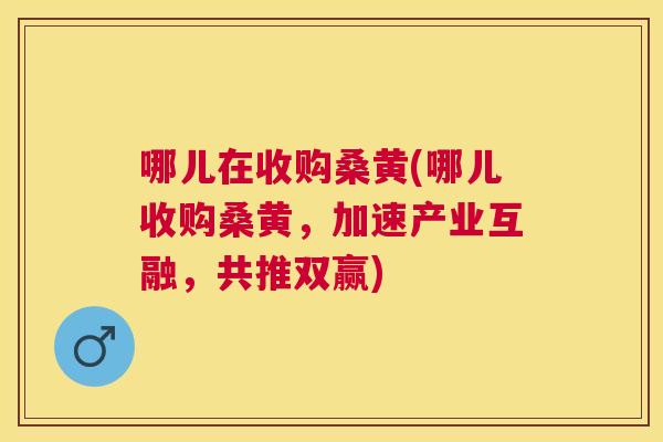 哪儿在收购桑黄(哪儿收购桑黄,加速产业互融,共推双赢) 哪儿在收购桑黄(哪儿收购桑黄,加速产业互融,共推双赢)