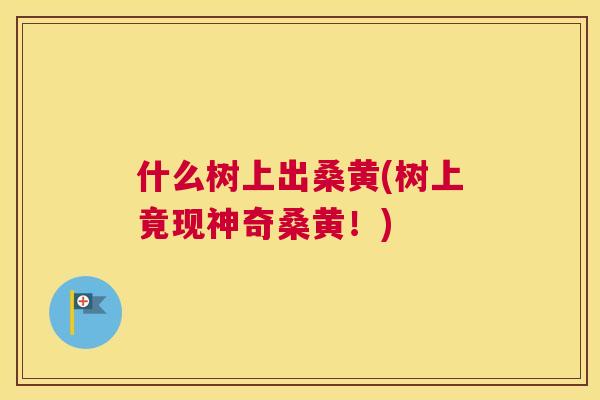 什么树上出桑黄(树上竟现神奇桑黄!) 什么树上出桑黄(树上竟现神奇桑黄!)