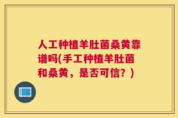 人工种植羊肚菌桑黄靠谱吗(手工种植羊肚菌和桑黄,是否可信?) 人工种植羊肚菌桑黄靠谱吗(手工种植羊肚菌和桑黄,是否可信?)