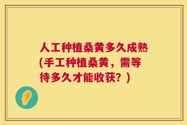 人工种植桑黄多久成熟(手工种植桑黄,需等待多久才能收获?) 人工种植桑黄多久成熟(手工种植桑黄,需等待多久才能收获?)