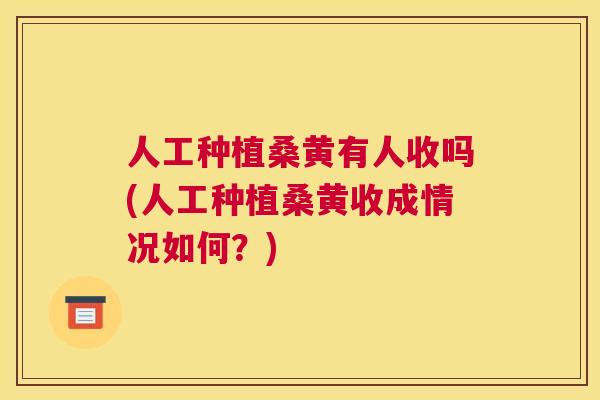 人工种植桑黄有人收吗(人工种植桑黄收成情况如何?) 人工种植桑黄有人收吗(人工种植桑黄收成情况如何?)