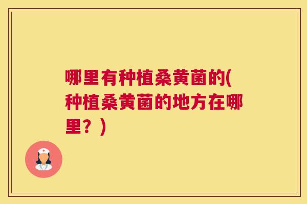 哪里有种植桑黄菌的(种植桑黄菌的地方在哪里?) 哪里有种植桑黄菌的(种植桑黄菌的地方在哪里?)