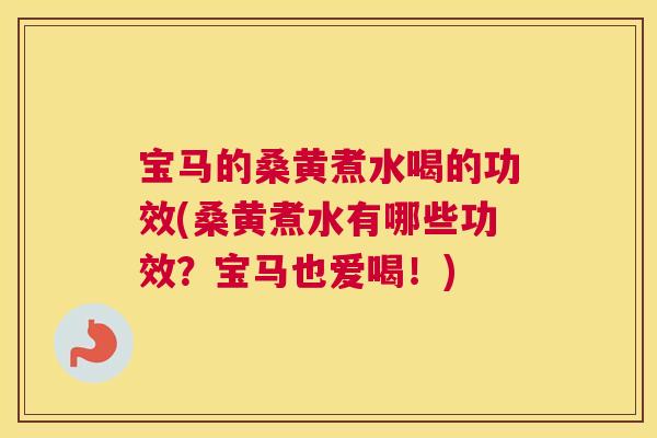 宝马的桑黄煮水喝的功效(桑黄煮水有哪些功效?宝马也爱喝!) 宝马的桑黄煮水喝的功效(桑黄煮水有哪些功效?宝马也爱喝!)