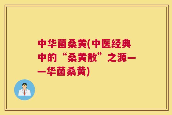 中华菌桑黄(中医经典中的“桑黄散”之源——华菌桑黄)
