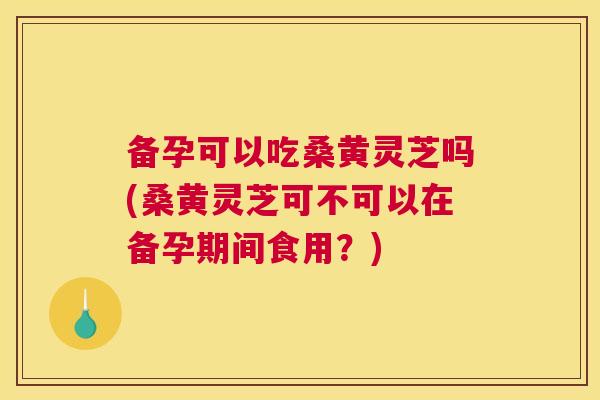 备孕可以吃桑黄灵芝吗(桑黄灵芝可不可以在备孕期间食用?) 备孕可以吃桑黄灵芝吗(桑黄灵芝可不可以在备孕期间食用?)