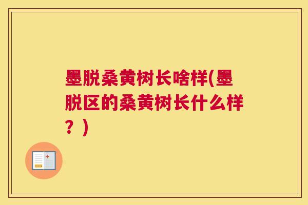 墨脱桑黄树长啥样(墨脱区的桑黄树长什么样?) 墨脱桑黄树长啥样(墨脱区的桑黄树长什么样?)