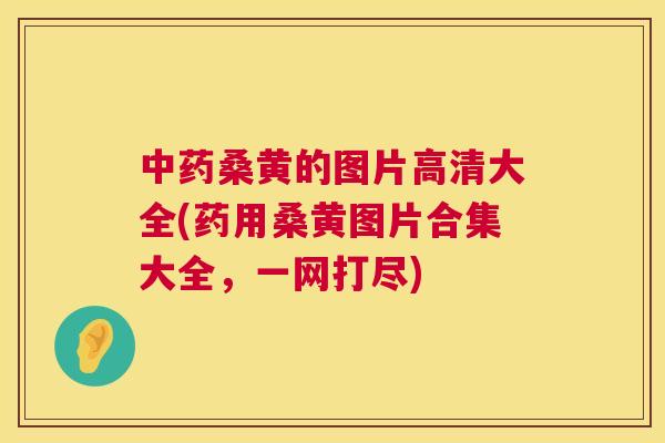 桑黄的图片高清大全(药用桑黄图片合集大全,一网打尽) 桑黄的图片高清大全(药用桑黄图片合集大全,一网打尽)
