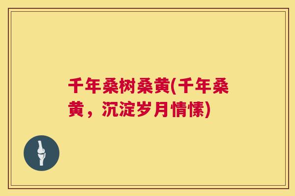 千年桑树桑黄(千年桑黄，沉淀岁月情愫)
