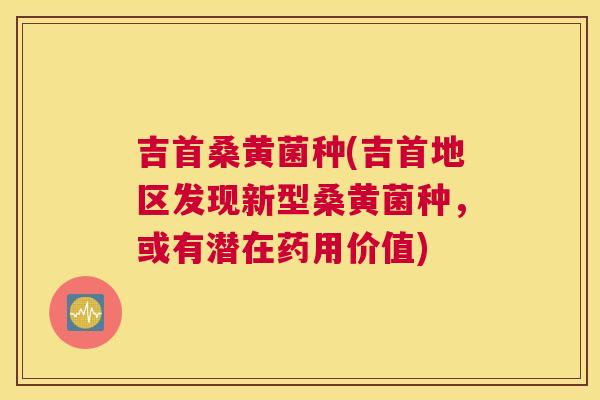 吉首桑黄菌种(吉首地区发现新型桑黄菌种,或有潜在药用价值) 吉首桑黄菌种(吉首地区发现新型桑黄菌种,或有潜在药用价值)