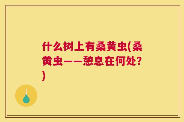 什么树上有桑黄虫(桑黄虫——憩息在何处?) 什么树上有桑黄虫(桑黄虫——憩息在何处?)