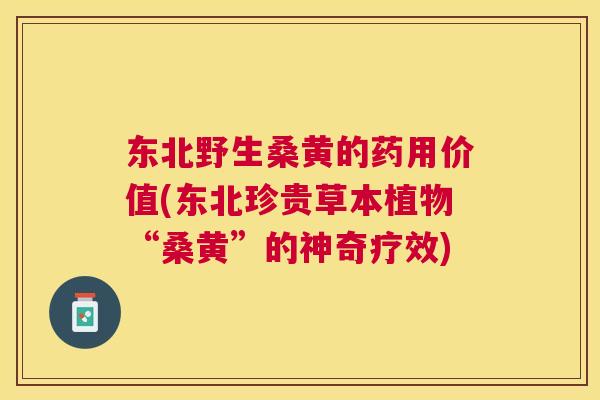 东北野生桑黄的药用价值(东北珍贵草本植物“桑黄”的神奇疗效) 东北野生桑黄的药用价值(东北珍贵草本植物“桑黄”的神奇疗效)