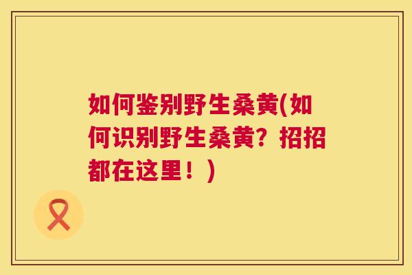如何鉴别野生桑黄(如何识别野生桑黄?招招都在这里!) 如何鉴别野生桑黄(如何识别野生桑黄?招招都在这里!)