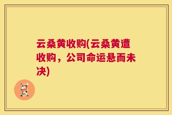 云桑黄收购(云桑黄遭收购,公司命运悬而未决) 云桑黄收购(云桑黄遭收购,公司命运悬而未决)