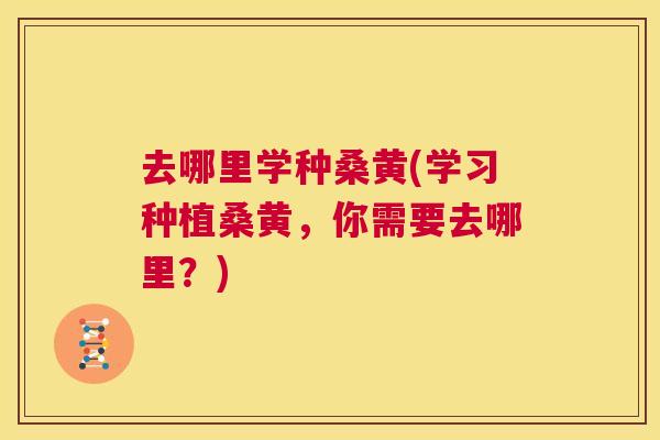 去哪里学种桑黄(学习种植桑黄,你需要去哪里?) 去哪里学种桑黄(学习种植桑黄,你需要去哪里?)