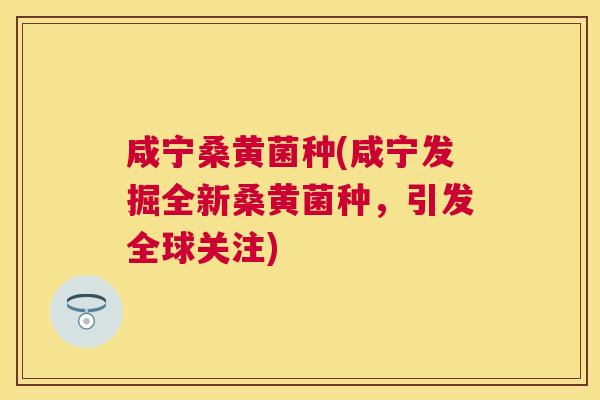 咸宁桑黄菌种(咸宁发掘全新桑黄菌种,引发全球关注) 咸宁桑黄菌种(咸宁发掘全新桑黄菌种,引发全球关注)