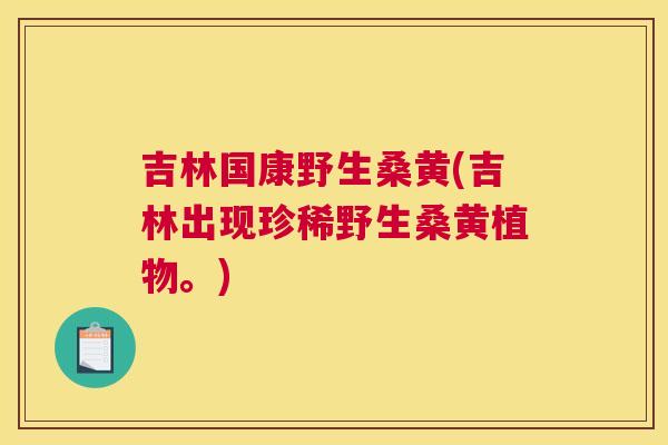 吉林国康野生桑黄(吉林出现珍稀野生桑黄植物。) 吉林国康野生桑黄(吉林出现珍稀野生桑黄植物。)
