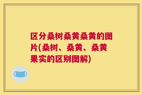 区分桑树桑黄桑黄的图片(桑树、桑黄、桑黄果实的区别图解) 区分桑树桑黄桑黄的图片(桑树、桑黄、桑黄果实的区别图解)