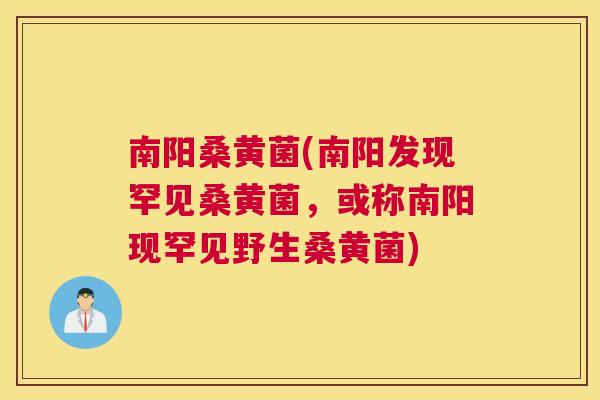 南阳桑黄菌(南阳发现罕见桑黄菌,或称南阳现罕见野生桑黄菌) 南阳桑黄菌(南阳发现罕见桑黄菌,或称南阳现罕见野生桑黄菌)