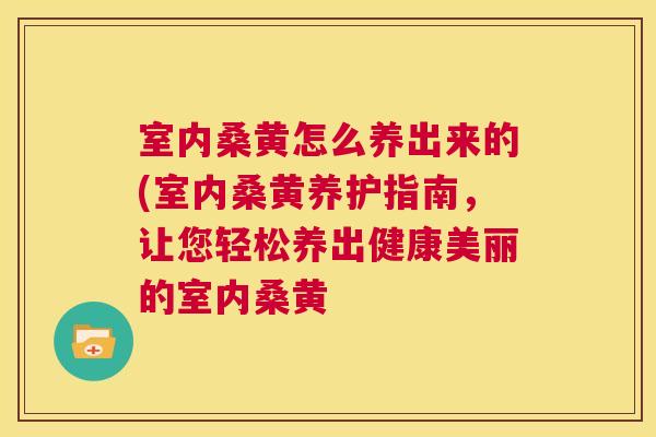 室内桑黄怎么养出来的(室内桑黄养护指南,让您轻松养出健康美丽的室内桑黄 室内桑黄怎么养出来的(室内桑黄养护指南,让您轻松养出健康美丽的室内桑黄