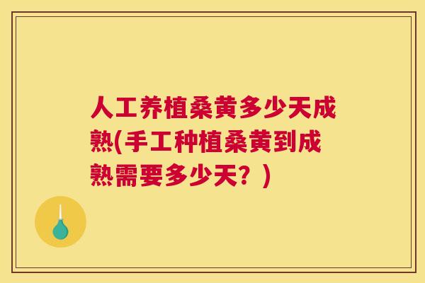 人工养植桑黄多少天成熟(手工种植桑黄到成熟需要多少天?) 人工养植桑黄多少天成熟(手工种植桑黄到成熟需要多少天?)