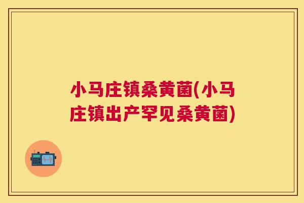 小马庄镇桑黄菌(小马庄镇出产罕见桑黄菌) 小马庄镇桑黄菌(小马庄镇出产罕见桑黄菌)
