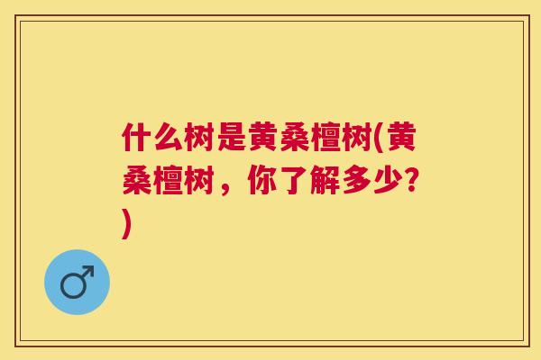 什么树是黄桑檀树(黄桑檀树，你了解多少？)