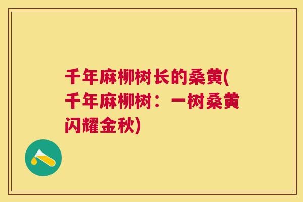 千年麻柳树长的桑黄(千年麻柳树:一树桑黄闪耀金秋) 千年麻柳树长的桑黄(千年麻柳树:一树桑黄闪耀金秋)