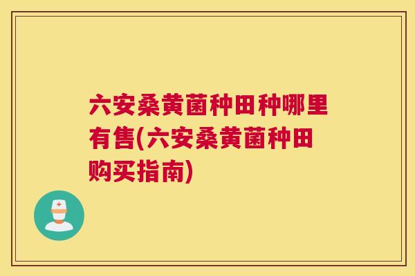 六安桑黄菌种田种哪里有售(六安桑黄菌种田购买指南) 六安桑黄菌种田种哪里有售(六安桑黄菌种田购买指南)