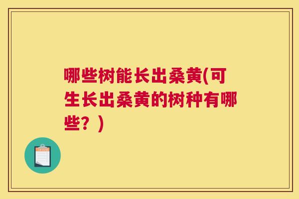 哪些树能长出桑黄(可生长出桑黄的树种有哪些?) 哪些树能长出桑黄(可生长出桑黄的树种有哪些?)