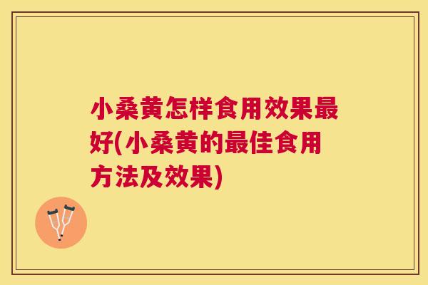 小桑黄怎样食用效果好(小桑黄的佳食用方法及效果)