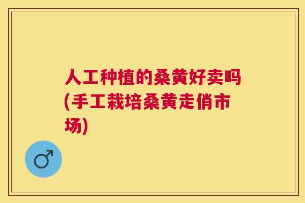 人工种植的桑黄好卖吗(手工栽培桑黄走俏市场) 人工种植的桑黄好卖吗(手工栽培桑黄走俏市场)