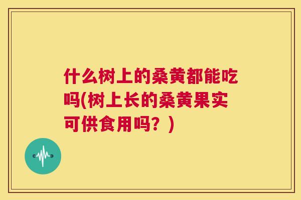 什么树上的桑黄都能吃吗(树上长的桑黄果实可供食用吗?) 什么树上的桑黄都能吃吗(树上长的桑黄果实可供食用吗?)