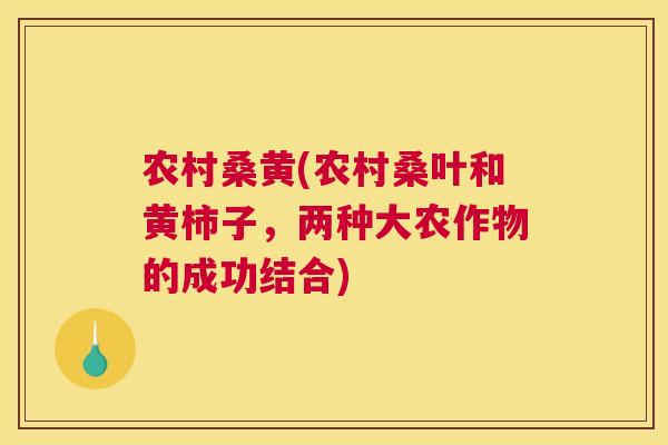农村桑黄(农村桑叶和黄柿子,两种大农作物的成功结合) 农村桑黄(农村桑叶和黄柿子,两种大农作物的成功结合)