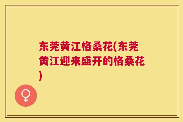 东莞黄江格桑花(东莞黄江迎来盛开的格桑花)