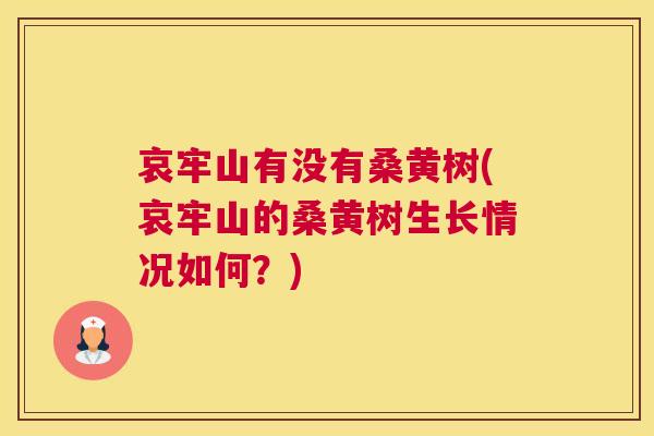 哀牢山有没有桑黄树(哀牢山的桑黄树生长情况如何？)