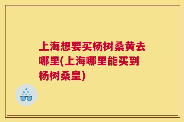 上海想要买杨树桑黄去哪里(上海哪里能买到杨树桑皇)