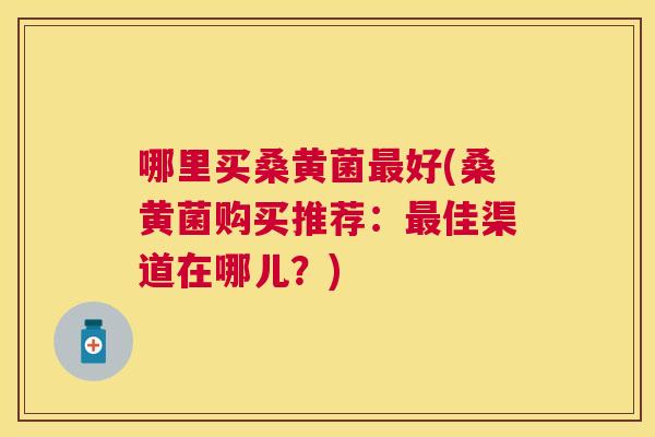 哪里买桑黄菌好(桑黄菌购买推荐：佳渠道在哪儿？)