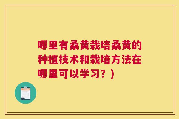哪里有桑黄栽培桑黄的种植技术和栽培方法在哪里可以学习？)