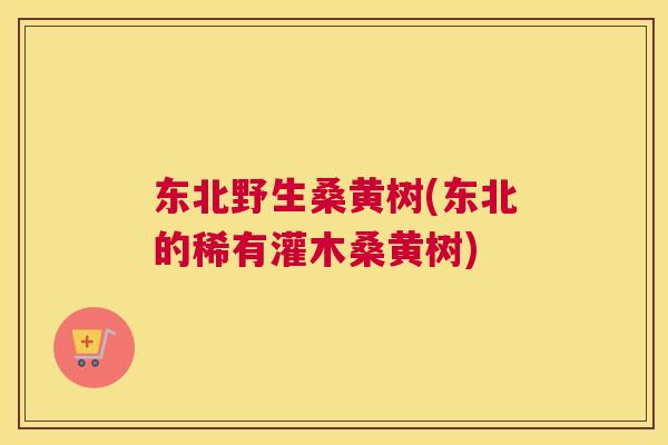 东北野生桑黄树(东北的稀有灌木桑黄树)