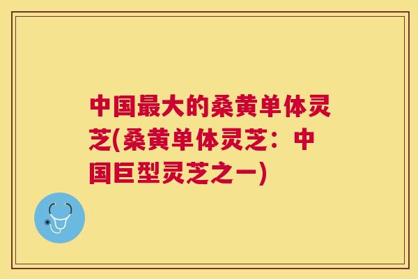 中国大的桑黄单体灵芝(桑黄单体灵芝：中国巨型灵芝之一)