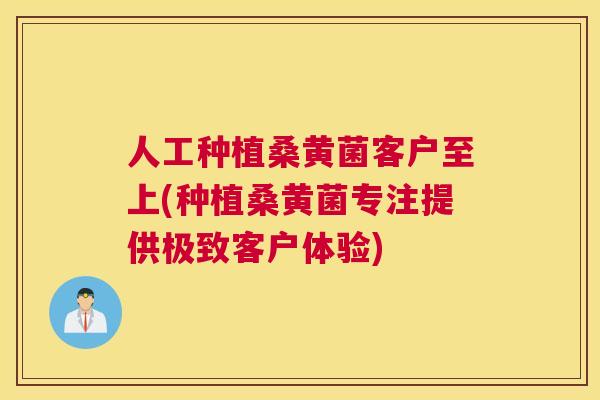 人工种植桑黄菌客户至上(种植桑黄菌专注提供极致客户体验) 人工种植桑黄菌客户至上(种植桑黄菌专注提供极致客户体验)
