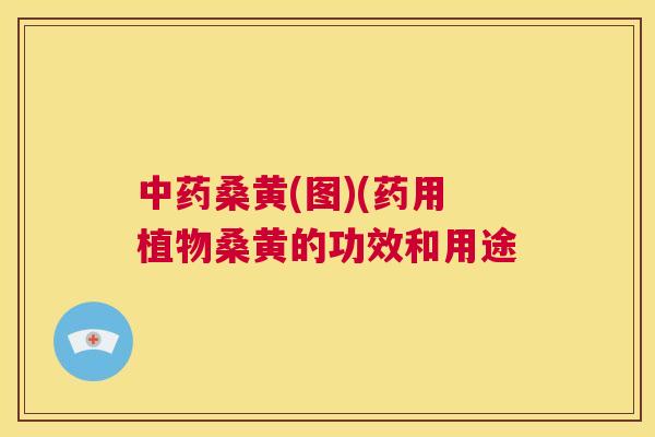 桑黄(图)(药用植物桑黄的功效和用途 桑黄(图)(药用植物桑黄的功效和用途