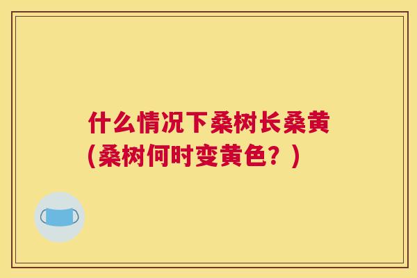 什么情况下桑树长桑黄(桑树何时变黄色？)