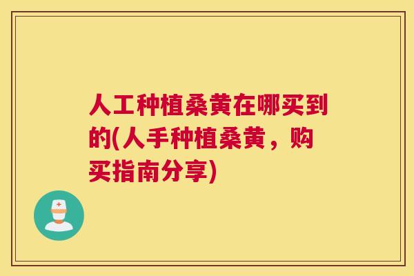 人工种植桑黄在哪买到的(人手种植桑黄，购买指南分享)