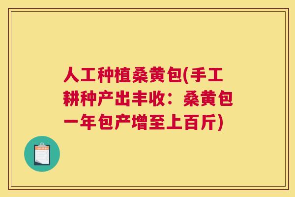 人工种植桑黄包(手工耕种产出丰收：桑黄包一年包产增至上百斤)
