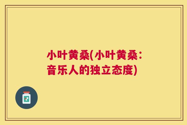 小叶黄桑(小叶黄桑：音乐人的独立态度)