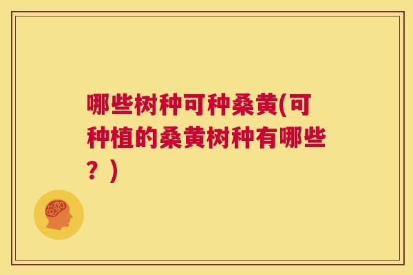 哪些树种可种桑黄(可种植的桑黄树种有哪些？)