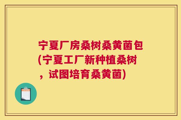 宁夏厂房桑树桑黄菌包(宁夏工厂新种植桑树，试图培育桑黄菌)